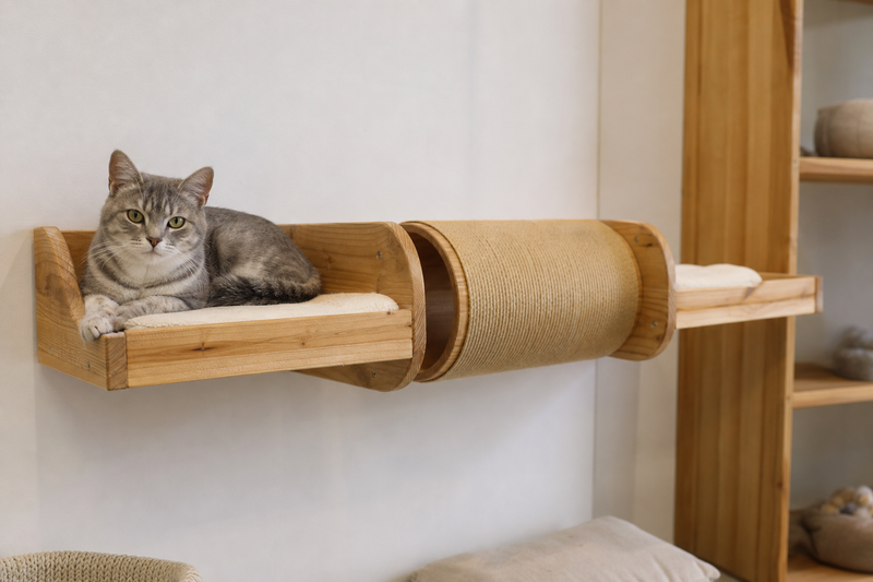 Tunnel-Connected Cat Shelf
