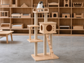 Wholesale multi level wooden cat tower in natural wood, CHUANRUI factory product photography